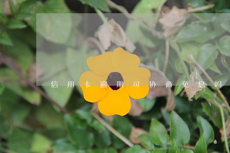 信用卡逾期可协商免息吗