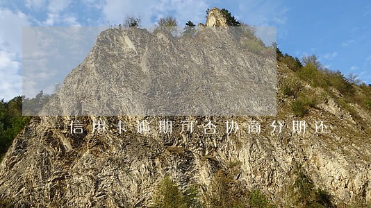 信用卡逾期可否协商分期还 信用卡逾期可否协商分期还