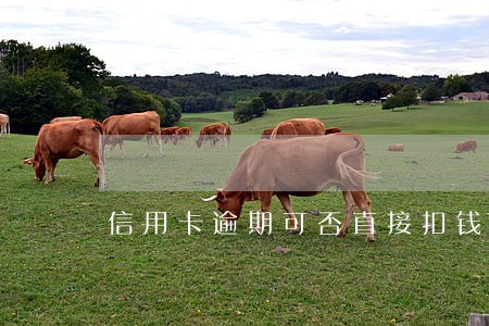 信用卡逾期可否直接扣钱