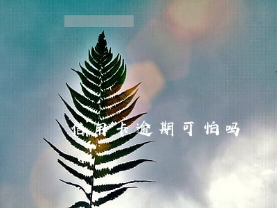 信用卡逾期可怕吗 信用卡逾期可怕吗