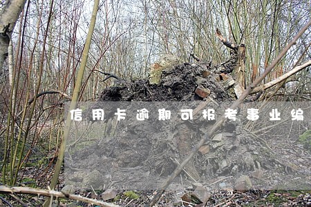 信用卡逾期可报考事业编吗 信用卡逾期可报考事业编吗