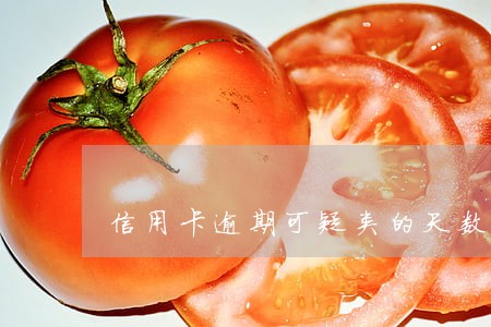 信用卡逾期可疑类的天数