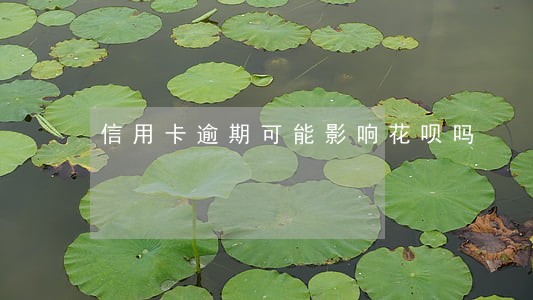 信用卡逾期可能影响花呗吗 信用卡逾期可能影响花呗吗