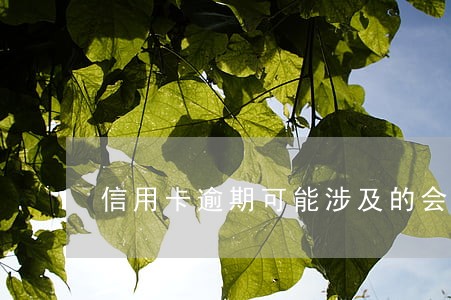 信用卡逾期可能涉及的会计科目 信用卡逾期可能涉及的会计科目