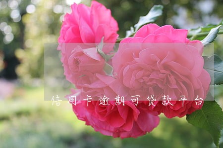信用卡逾期可贷款平台 信用卡逾期可贷款平台