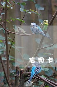信用卡逾期可还空卡可还 信用卡逾期可还空卡可还