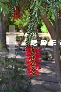 信用卡逾期司法上诉