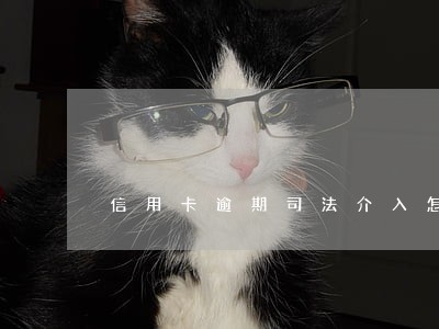 信用卡逾期司法介入怎么处理 信用卡逾期司法介入怎么处理