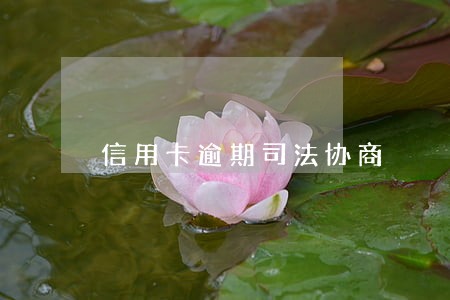信用卡逾期司法协商 信用卡逾期司法协商