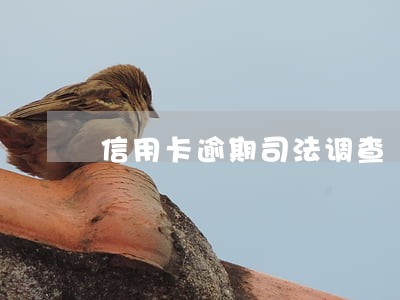 信用卡逾期司法调查