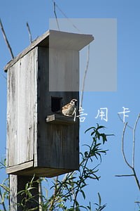 信用卡逾期各大银行协商方案 信用卡逾期各大银行协商方案