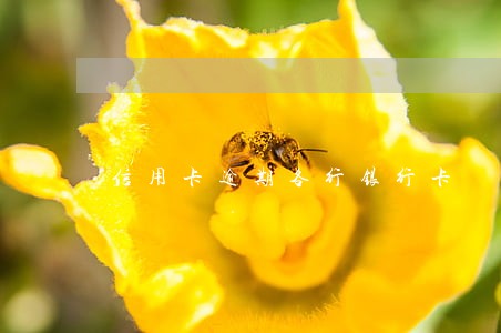 信用卡逾期各行银行卡