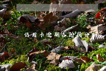 信用卡逾期各阶段分析 信用卡逾期各阶段分析