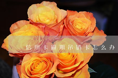信用卡逾期吊销卡怎么办