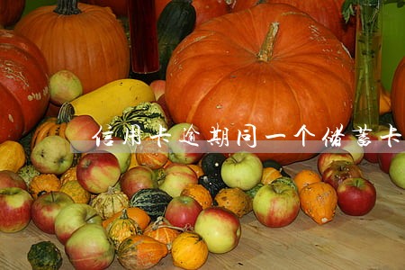 信用卡逾期同一个储蓄卡 信用卡逾期同一个储蓄卡