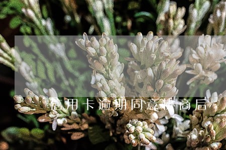 信用卡逾期同意协商后 信用卡逾期同意协商后