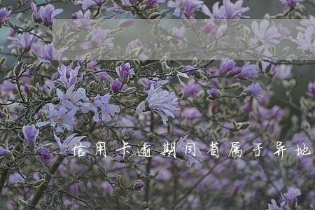 信用卡逾期同省属于异地起诉吗 信用卡逾期同省属于异地起诉吗