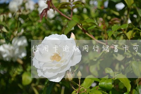 信用卡逾期同行储蓄卡可以注销吗 信用卡逾期同行储蓄卡可以注销吗