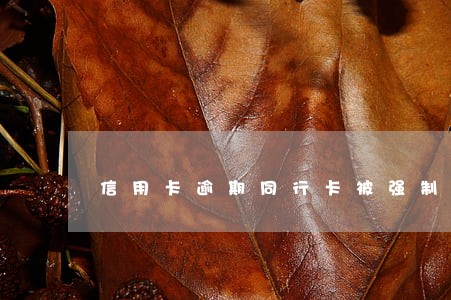 信用卡逾期同行卡被强制扣取 信用卡逾期同行卡被强制扣取