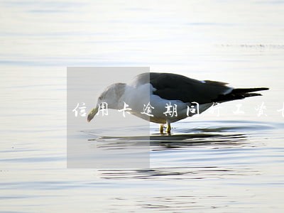 信用卡逾期同行工资卡 信用卡逾期同行工资卡