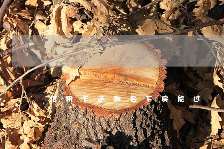 信用卡逾期名下房能过 信用卡逾期名下房能过