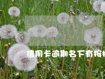 信用卡逾期名下有按揭房 信用卡逾期名下有按揭房
