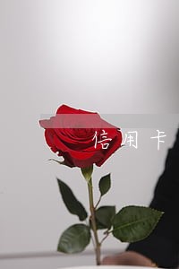 信用卡逾期名下的车会怎么样