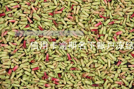 信用卡逾期名下账户冻结 信用卡逾期名下账户冻结