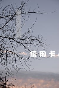 信用卡逾期名下车能过户吗 信用卡逾期名下车能过户吗