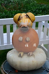 信用卡逾期后2天取证 信用卡逾期后2天取证