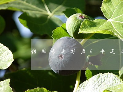 信用卡逾期后5年还上征信吗