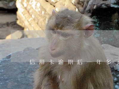 信用卡逾期后一年多了怎么办