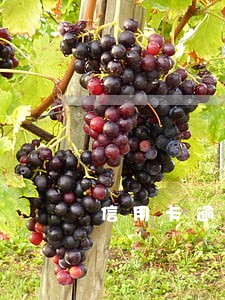 信用卡逾期后一年还不上了
