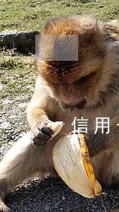 信用卡逾期后一次性还完被降额度 信用卡逾期后一次性还完被降额度