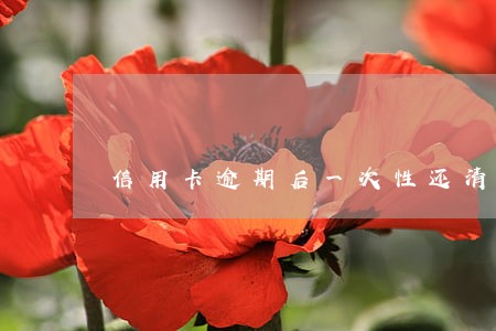 信用卡逾期后一次性还清程序 信用卡逾期后一次性还清程序