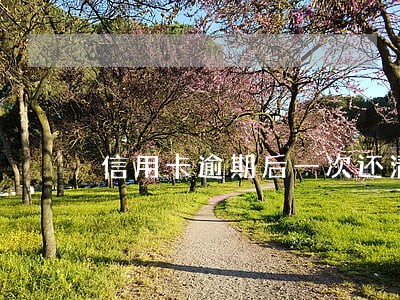信用卡逾期后一次还清账单