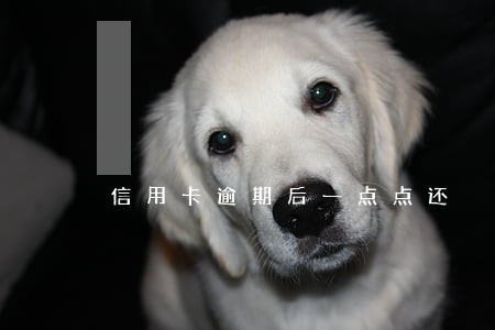 信用卡逾期后一点点还 信用卡逾期后一点点还