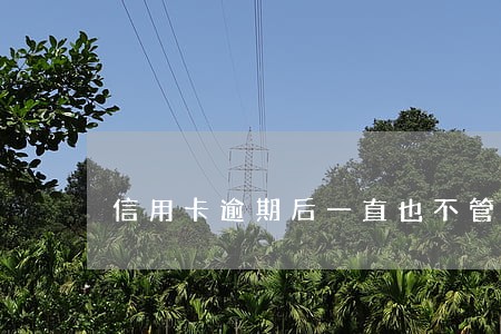 信用卡逾期后一直也不管我 信用卡逾期后一直也不管我