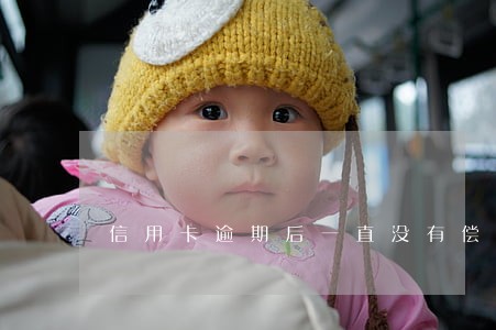 信用卡逾期后一直没有偿还能力 信用卡逾期后一直没有偿还能力