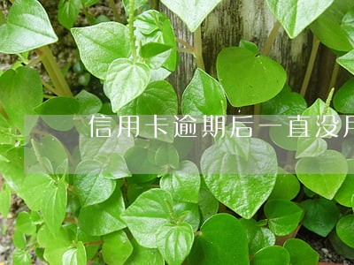 信用卡逾期后一直没用