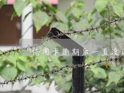 信用卡逾期后一直没还会怎么办 信用卡逾期后一直没还会怎么办