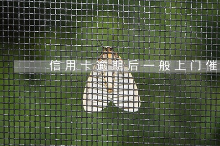 信用卡逾期后一般上门催收几次 信用卡逾期后一般上门催收几次