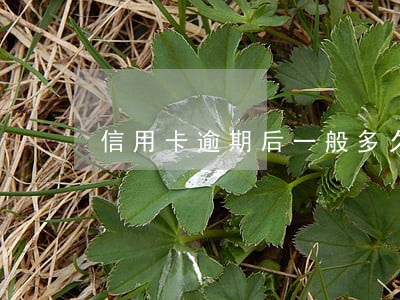 信用卡逾期后一般多久通知 信用卡逾期后一般多久通知