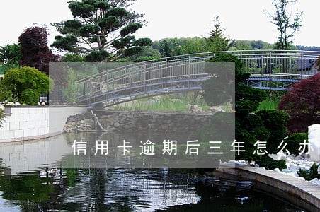 信用卡逾期后三年怎么办