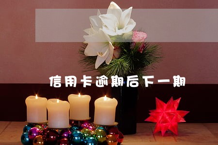 信用卡逾期后下一期 信用卡逾期后下一期