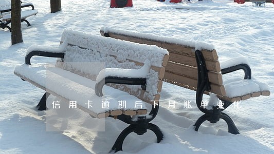 信用卡逾期后下月账单变化