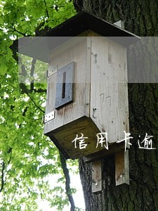 信用卡逾期后不上家里去不 信用卡逾期后不上家里去不