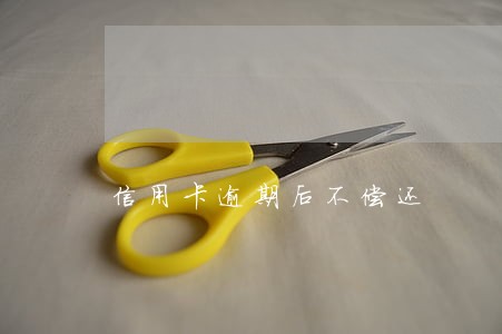 信用卡逾期后不偿还