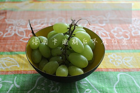 信用卡逾期后不履行有什么后果 信用卡逾期后不履行有什么后果