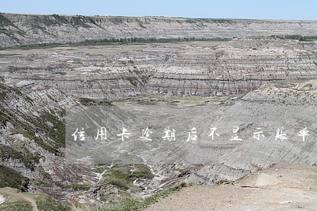 信用卡逾期后不显示账单 信用卡逾期后不显示账单